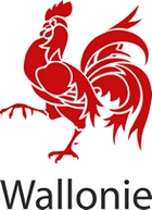 Logo Rgion wallonne